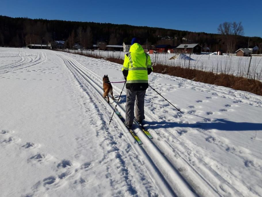 Ladansloft Leilighet Stöllet Eksteriør bilde