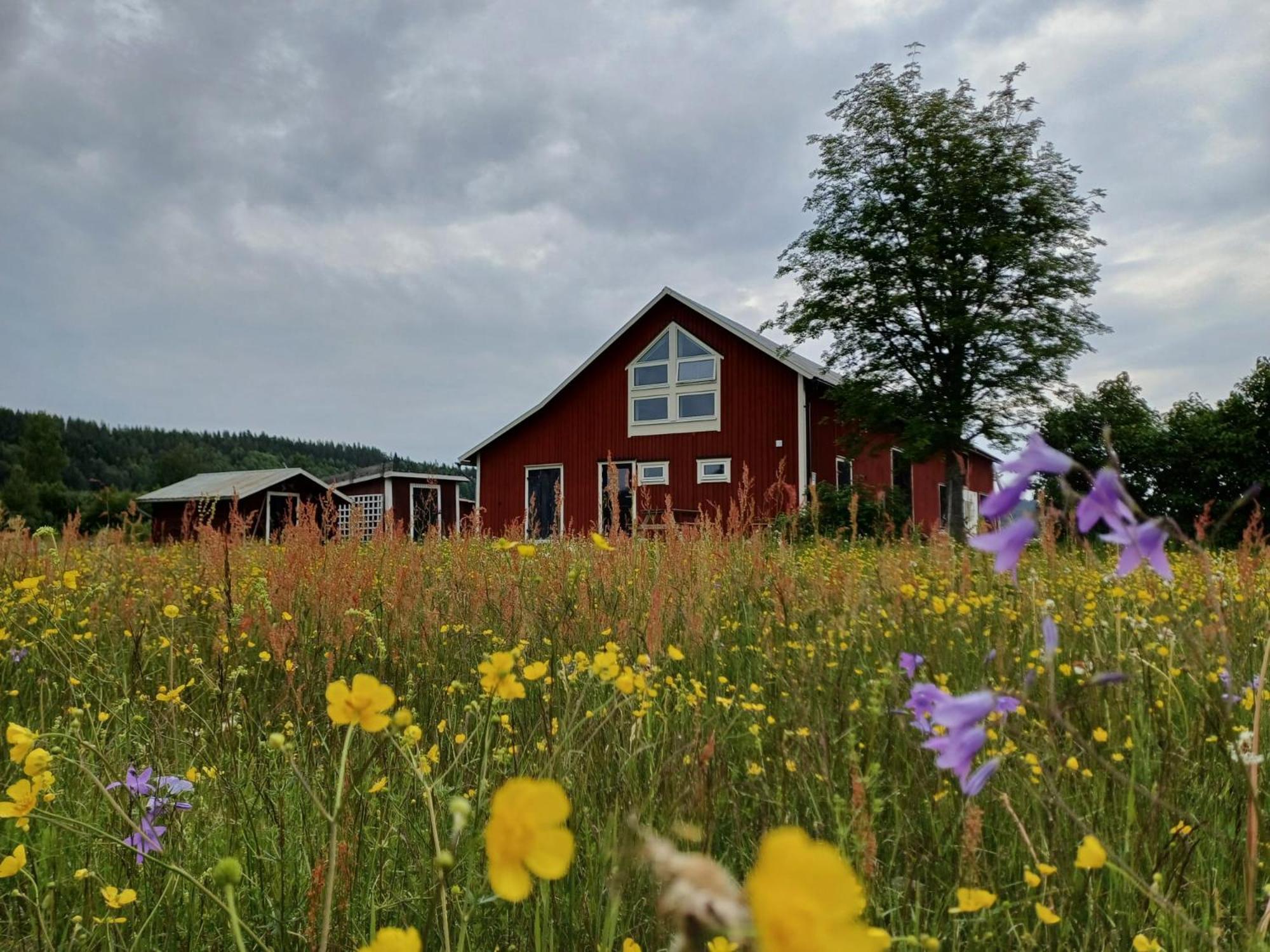 Ladansloft Leilighet Stöllet Eksteriør bilde